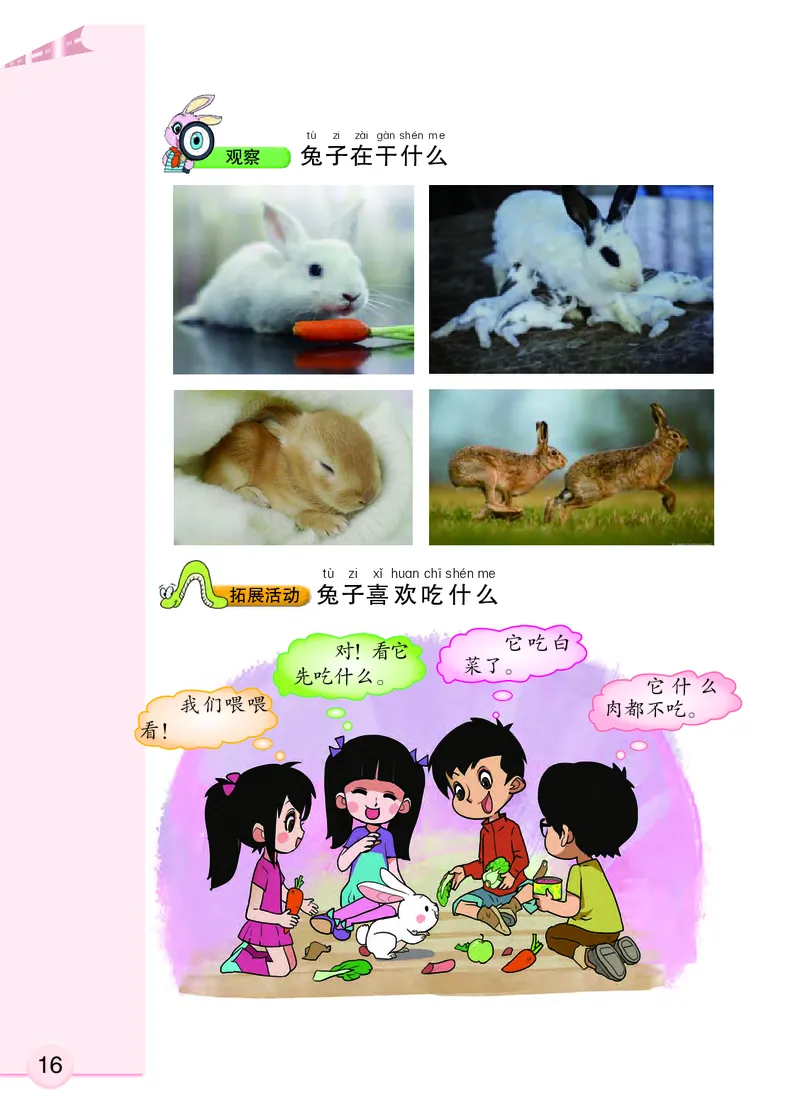 大象版1年级科学上册高清教材_全部版本&bull;小学科学电子课本_大象版小学科学电子课本