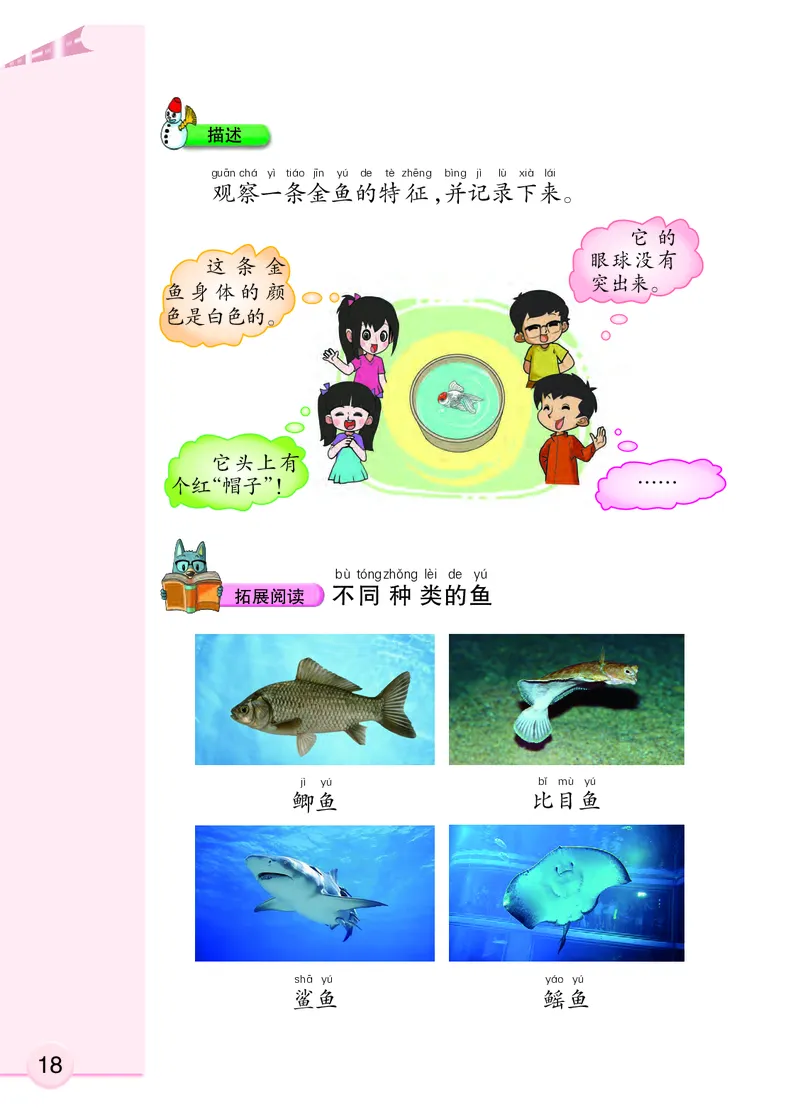 大象版1年级科学上册高清教材_全部版本&bull;小学科学电子课本_大象版小学科学电子课本