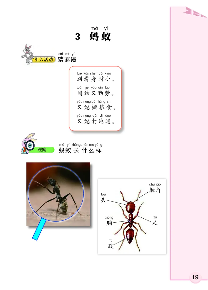 大象版1年级科学上册高清教材_全部版本&bull;小学科学电子课本_大象版小学科学电子课本