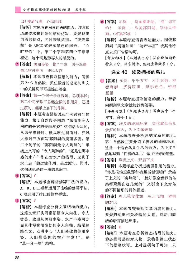 五年级答案解析木头马阅读-副本_26版高效阅读88篇五年级