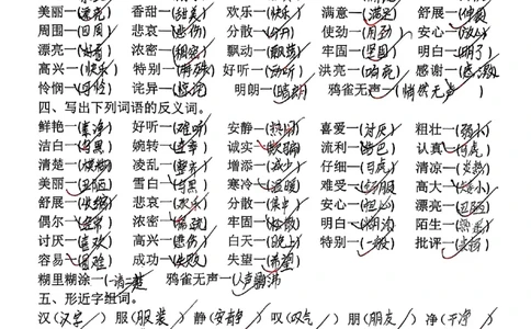 三上语文期中复习五大考点专项训练_三上数学25秋