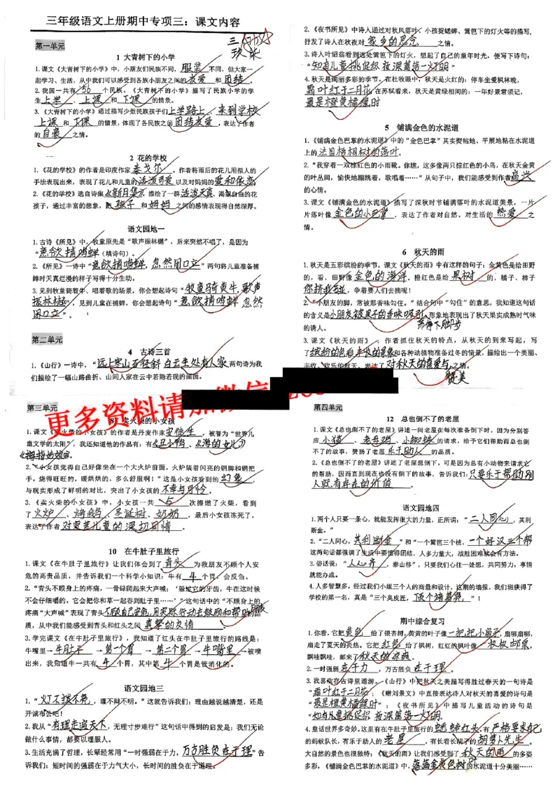 三上语文期中复习五大考点专项训练_三上数学25秋