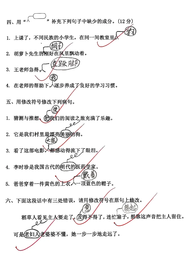 三上语文期中复习五大考点专项训练_三上数学25秋