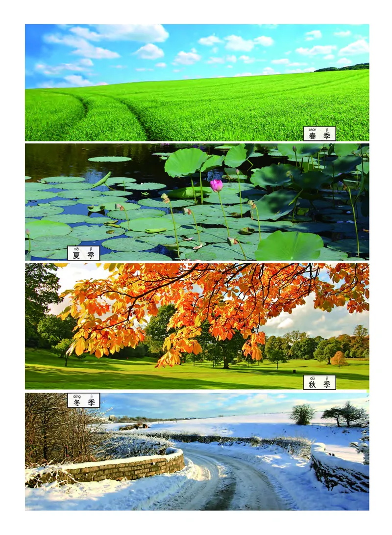 教科版2年级科学上册高清教材_全部版本&bull;小学科学电子课本_教科版小学科学电子课本