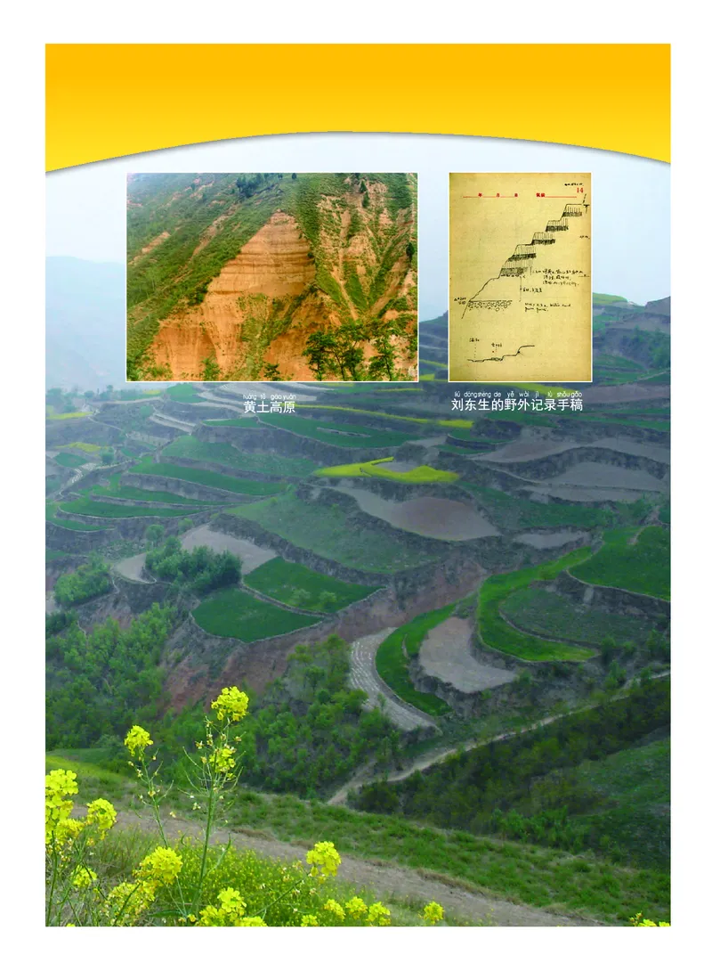 教科版2年级科学上册高清教材_全部版本&bull;小学科学电子课本_教科版小学科学电子课本