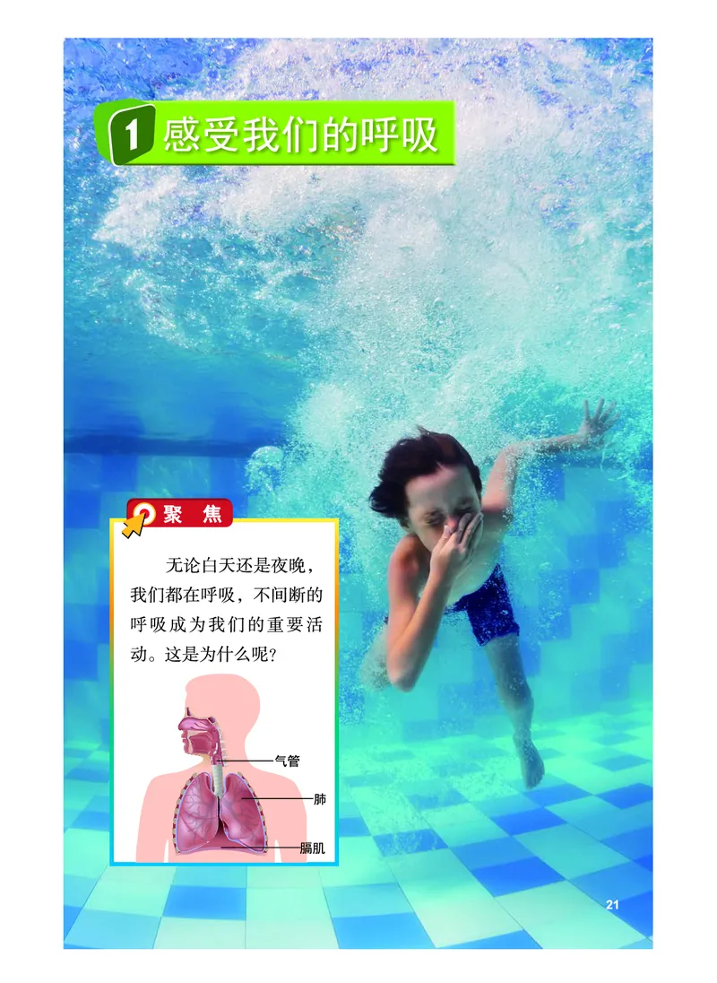 教科版4年级科学上册高清教材_全部版本&bull;小学科学电子课本_教科版小学科学电子课本