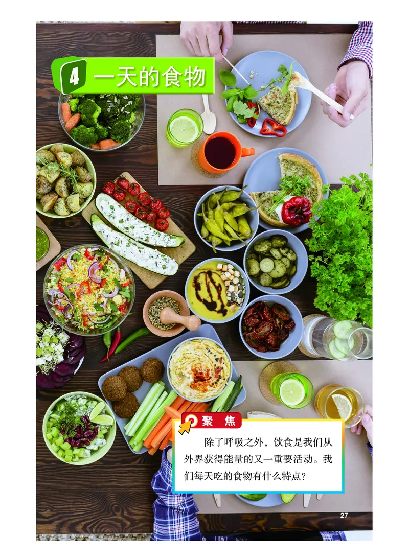 教科版4年级科学上册高清教材_全部版本&bull;小学科学电子课本_教科版小学科学电子课本