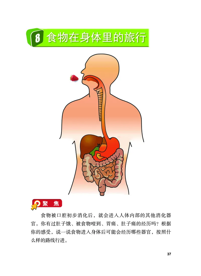教科版4年级科学上册高清教材_全部版本&bull;小学科学电子课本_教科版小学科学电子课本