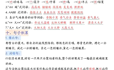 五上期中高频考点_🍎⭐️期中知识汇总语文25年上册_五上