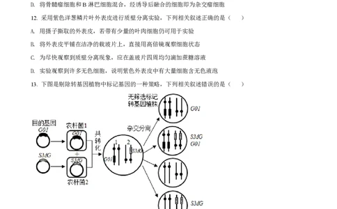 2021年高考生物试卷（江苏）（空白卷）_生物历年高考真题_新&middot;PDF版2008-2025&middot;高考生物真题_生物（按省份分类）2008-2025_2008-2025&middot;（江苏）生物高考真题