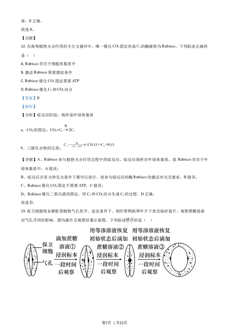 2021年高考生物试卷（广东）（解析卷）_生物历年高考真题_新&middot;Word版2008-2025&middot;高考生物真题_生物（按年份分类）2008-2025_2021&middot;高考生物真题