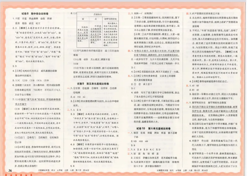 25秋语文人教版6上_2025秋《王朝霞活页卷》语文1-6