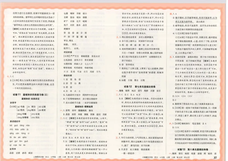 25秋语文人教版6上_2025秋《王朝霞活页卷》语文1-6