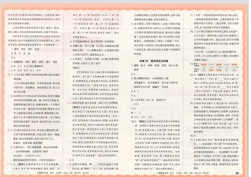 25秋语文人教版6上_2025秋《王朝霞活页卷》语文1-6