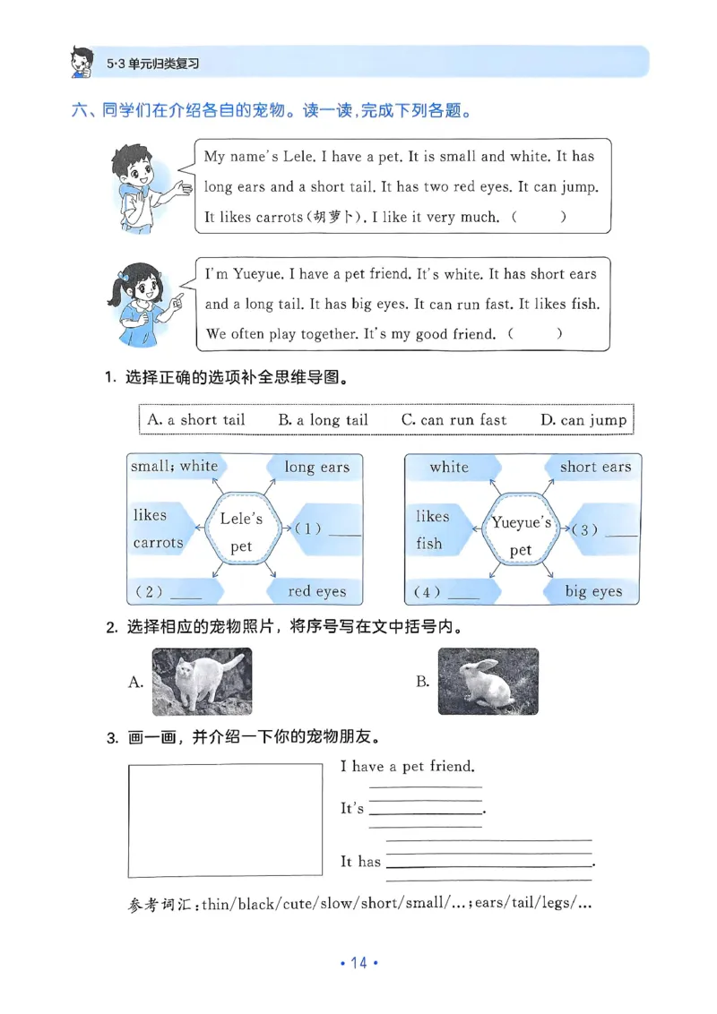 25春53归类复习人教英语3下_三年级上下册资料_53黄冈多个品牌系列资料_英语