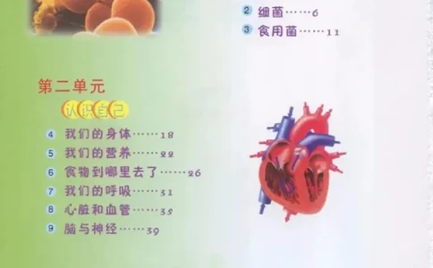 五年级上册科学青岛版五四制电子课本_全部版本&bull;小学科学电子课本_青岛版54制小学科学课本