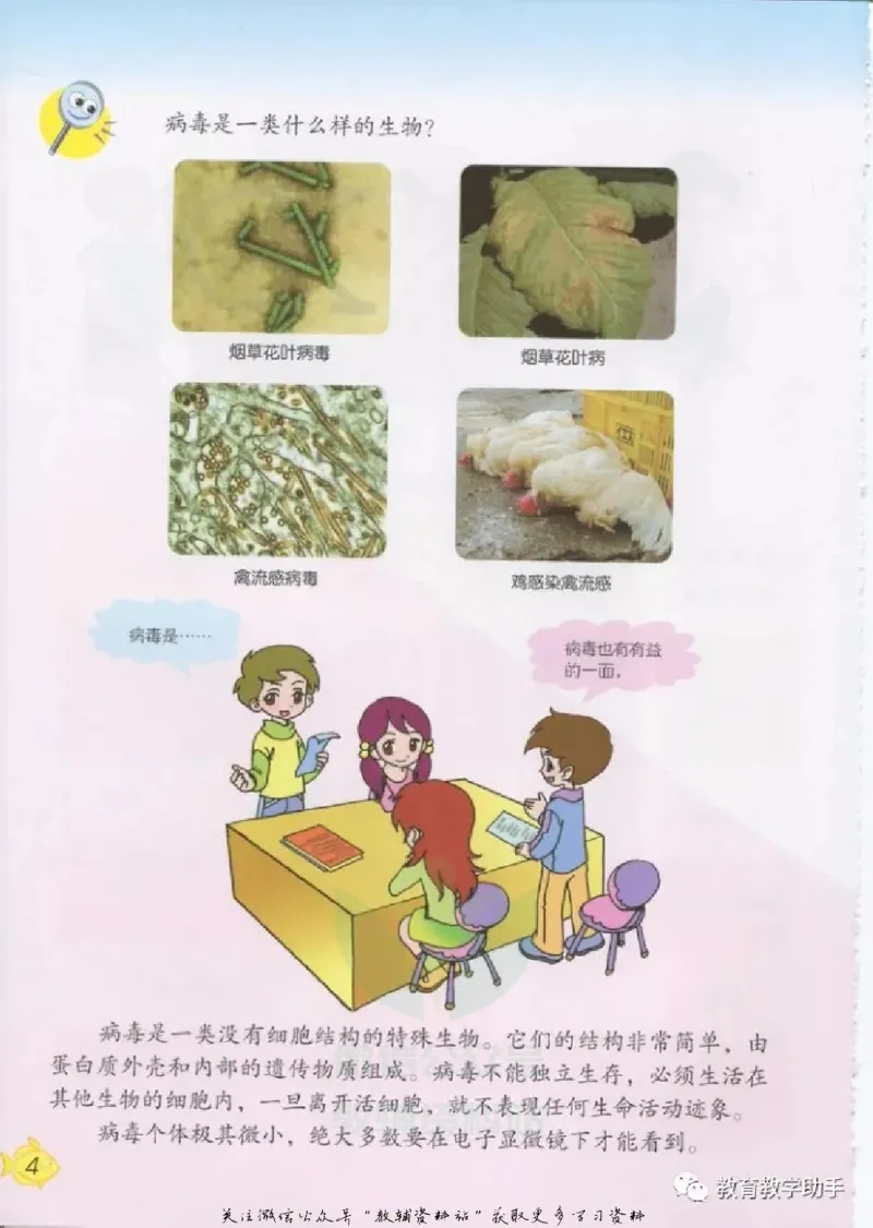 五年级上册科学青岛版五四制电子课本_全部版本&bull;小学科学电子课本_青岛版54制小学科学课本