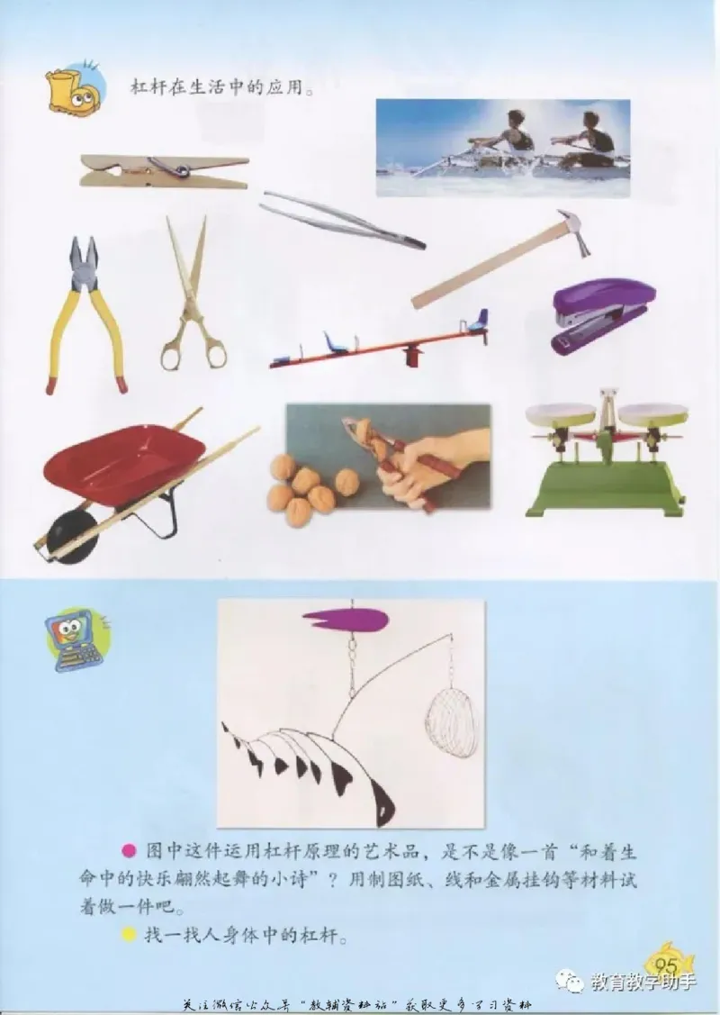 五年级上册科学青岛版五四制电子课本_全部版本&bull;小学科学电子课本_青岛版54制小学科学课本