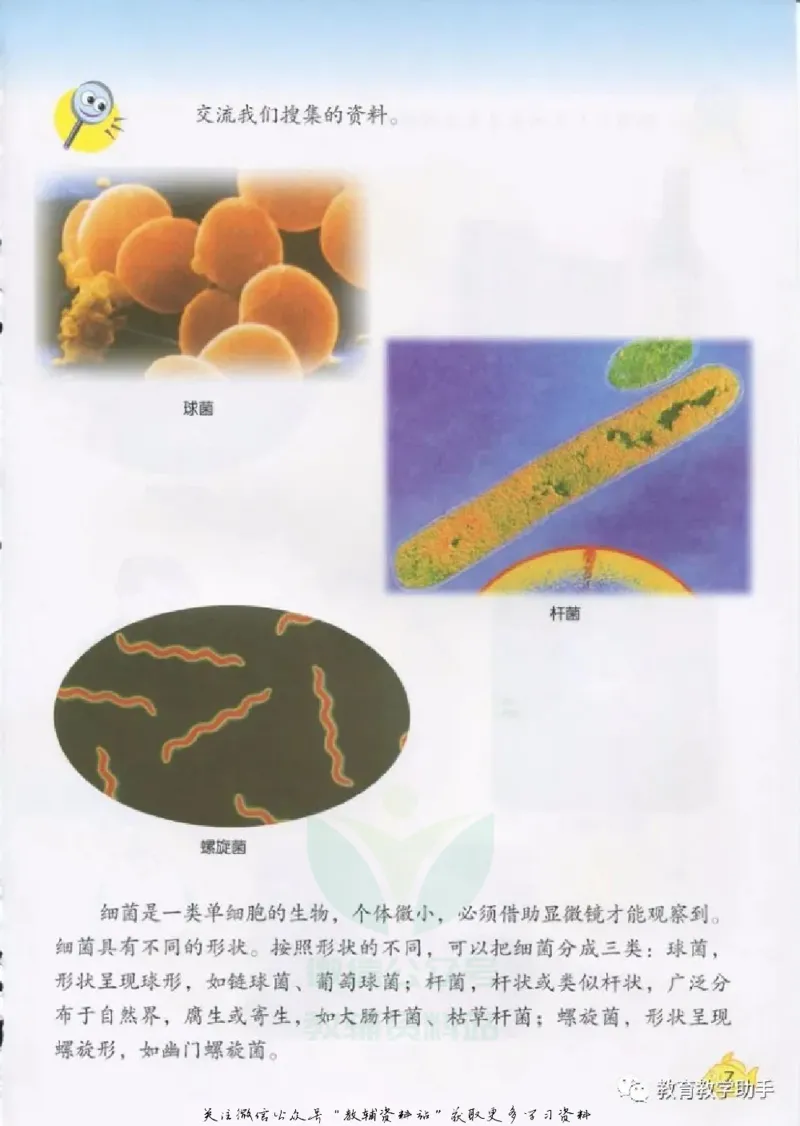 五年级上册科学青岛版五四制电子课本_全部版本&bull;小学科学电子课本_青岛版54制小学科学课本