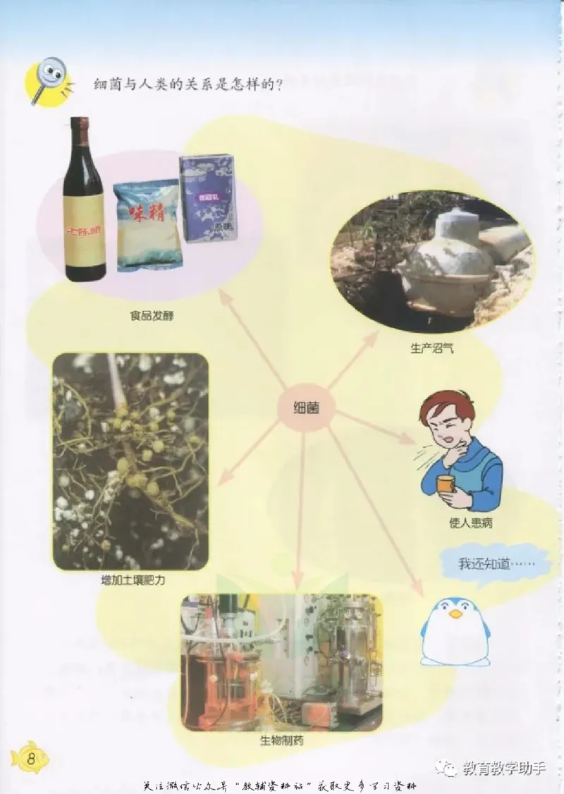 五年级上册科学青岛版五四制电子课本_全部版本&bull;小学科学电子课本_青岛版54制小学科学课本