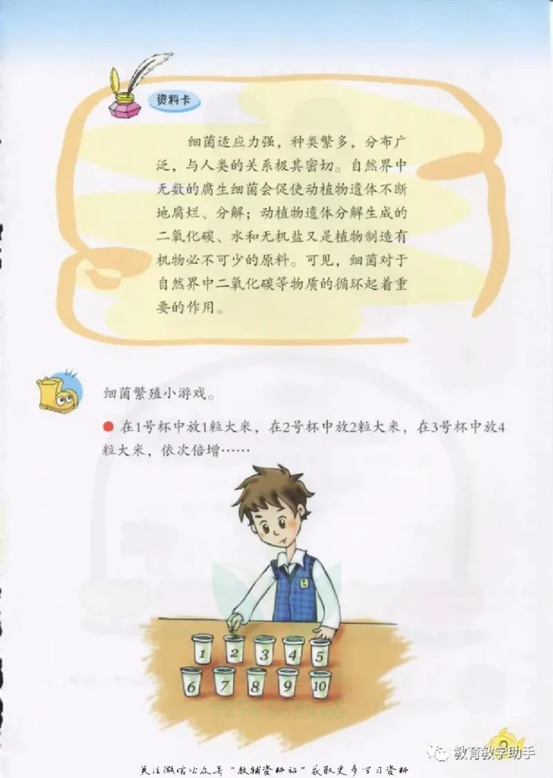 五年级上册科学青岛版五四制电子课本_全部版本&bull;小学科学电子课本_青岛版54制小学科学课本