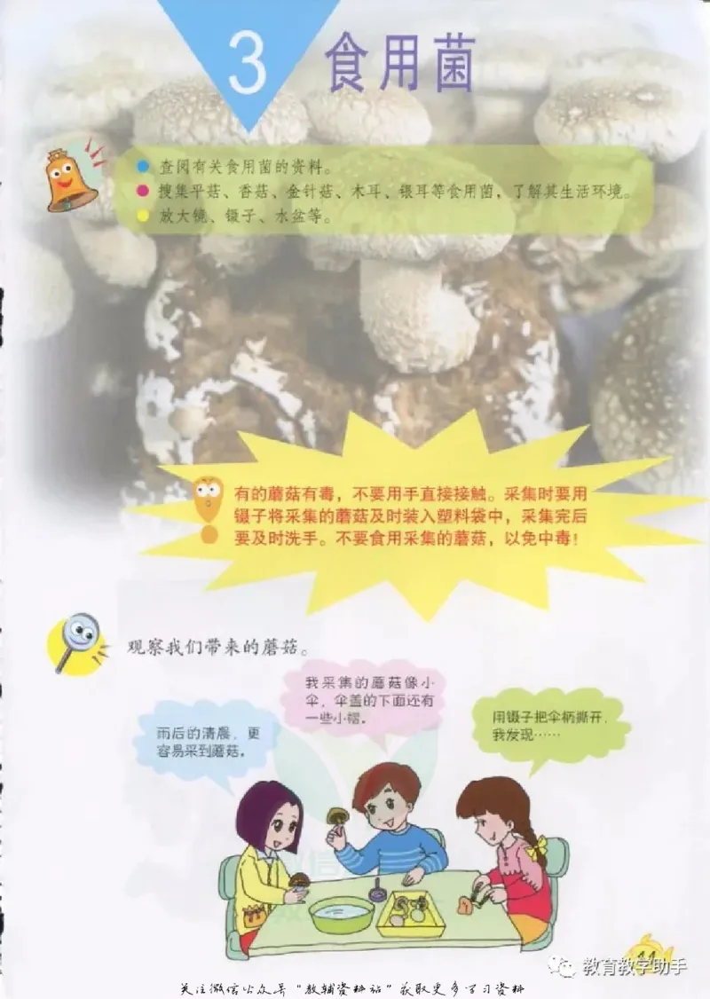 五年级上册科学青岛版五四制电子课本_全部版本&bull;小学科学电子课本_青岛版54制小学科学课本