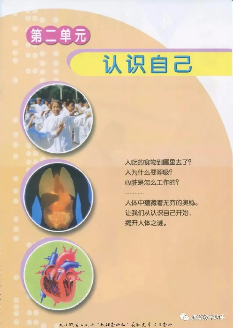 五年级上册科学青岛版五四制电子课本_全部版本&bull;小学科学电子课本_青岛版54制小学科学课本