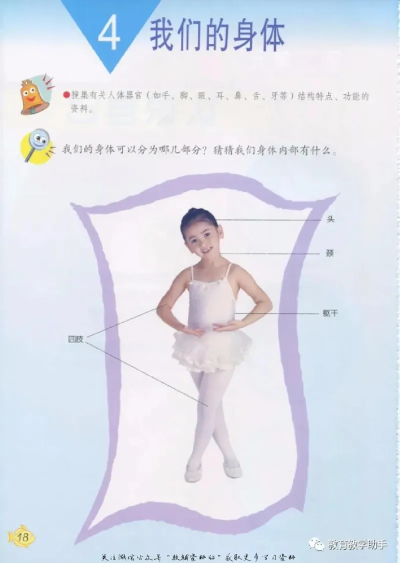 五年级上册科学青岛版五四制电子课本_全部版本&bull;小学科学电子课本_青岛版54制小学科学课本