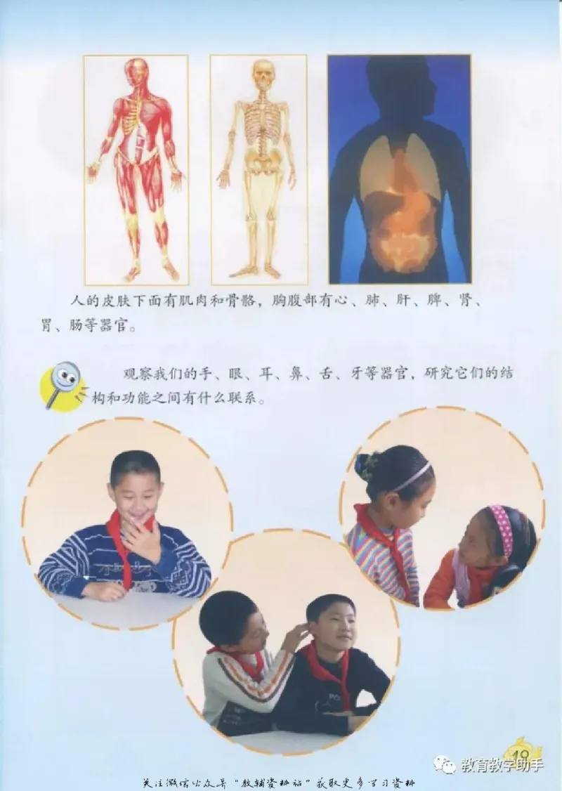 五年级上册科学青岛版五四制电子课本_全部版本&bull;小学科学电子课本_青岛版54制小学科学课本