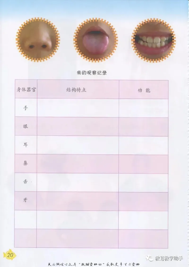 五年级上册科学青岛版五四制电子课本_全部版本&bull;小学科学电子课本_青岛版54制小学科学课本