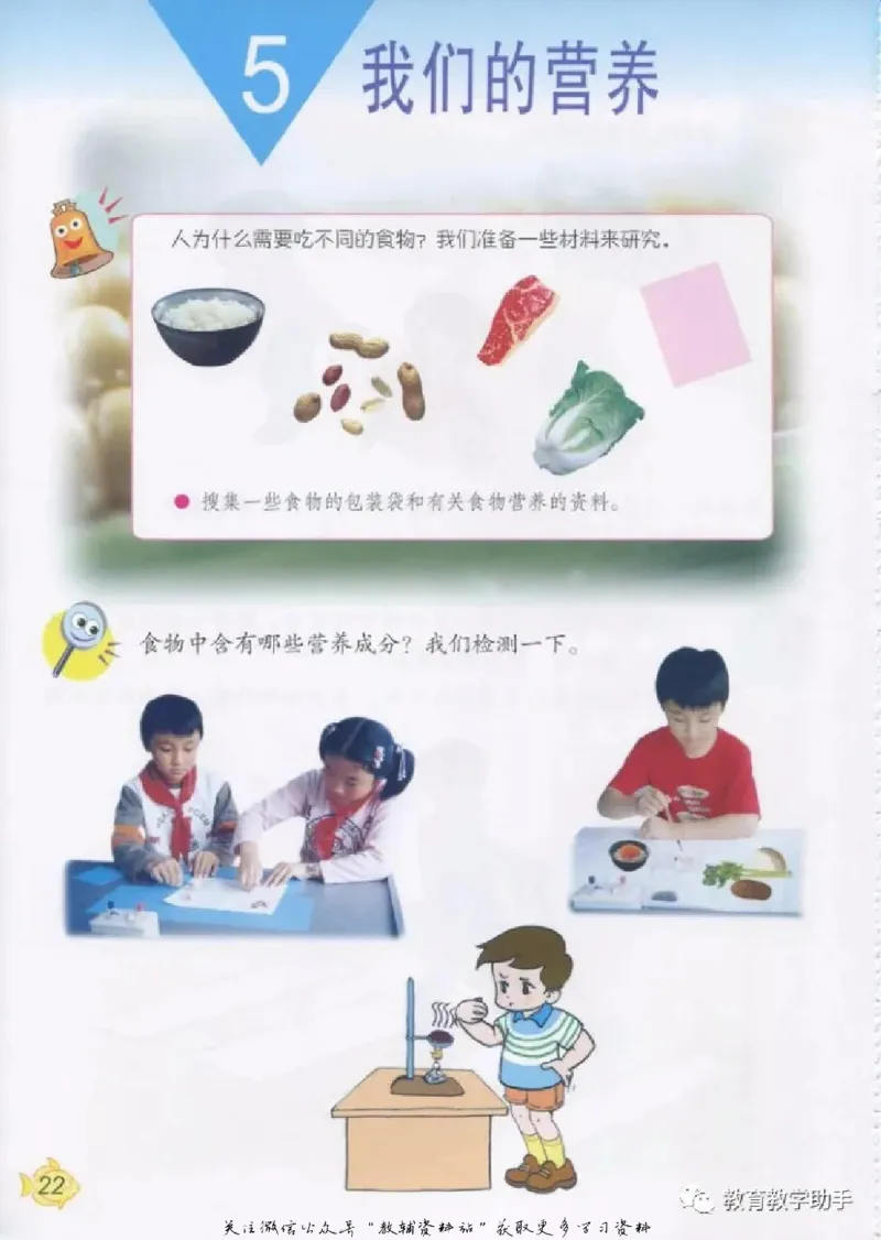 五年级上册科学青岛版五四制电子课本_全部版本&bull;小学科学电子课本_青岛版54制小学科学课本