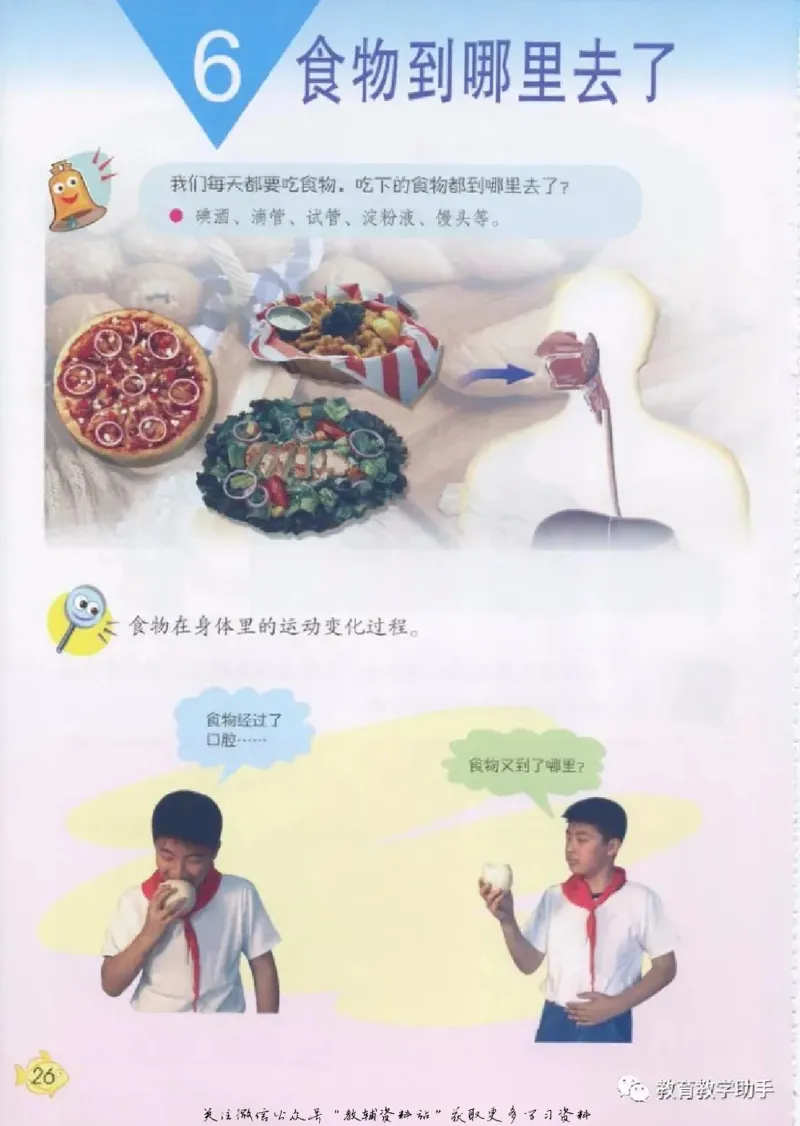 五年级上册科学青岛版五四制电子课本_全部版本&bull;小学科学电子课本_青岛版54制小学科学课本