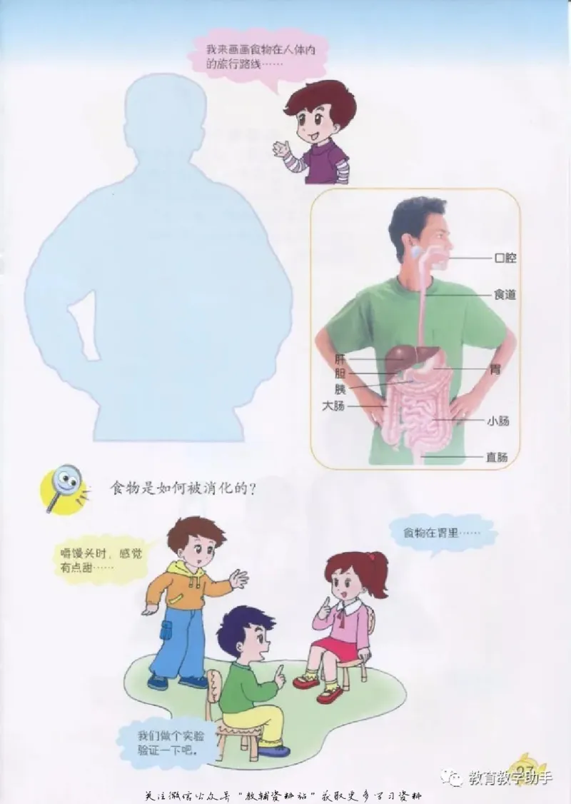 五年级上册科学青岛版五四制电子课本_全部版本&bull;小学科学电子课本_青岛版54制小学科学课本