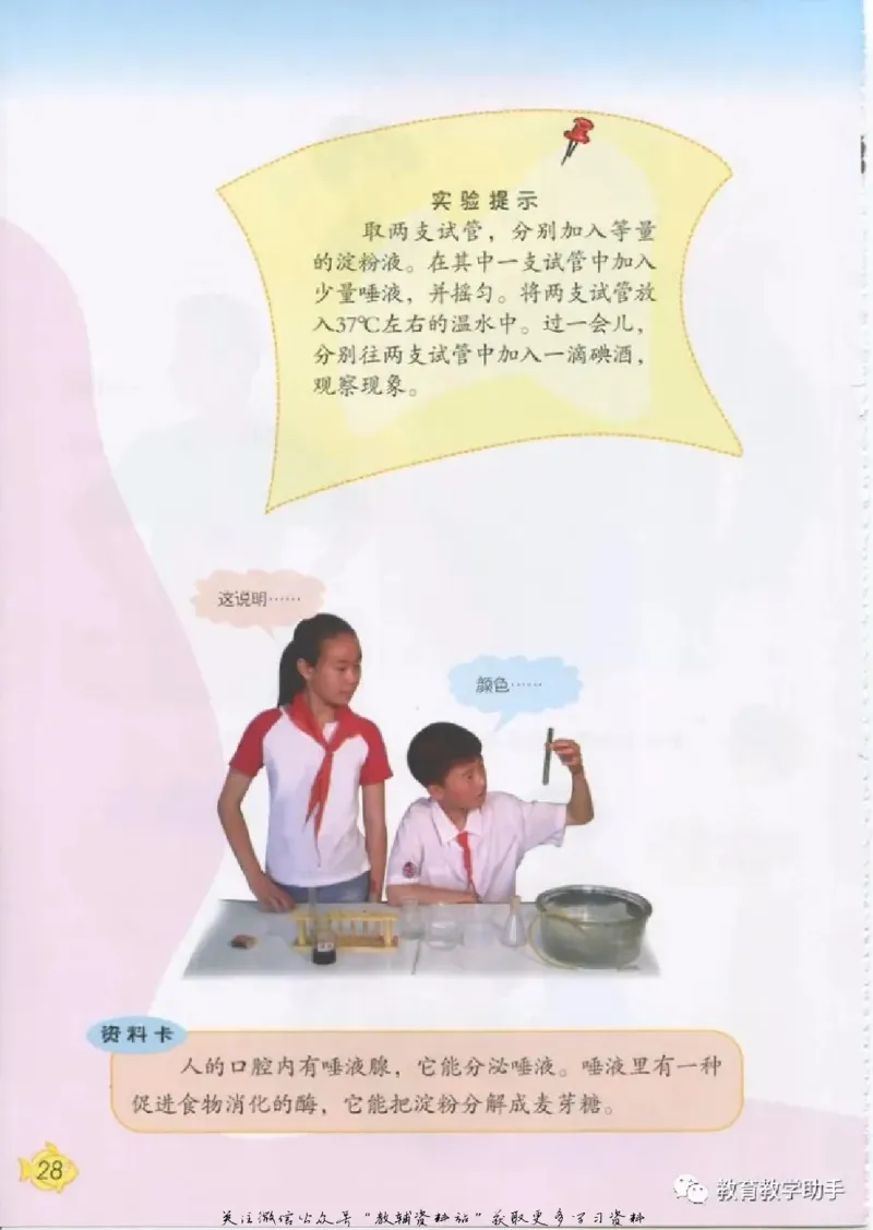 五年级上册科学青岛版五四制电子课本_全部版本&bull;小学科学电子课本_青岛版54制小学科学课本