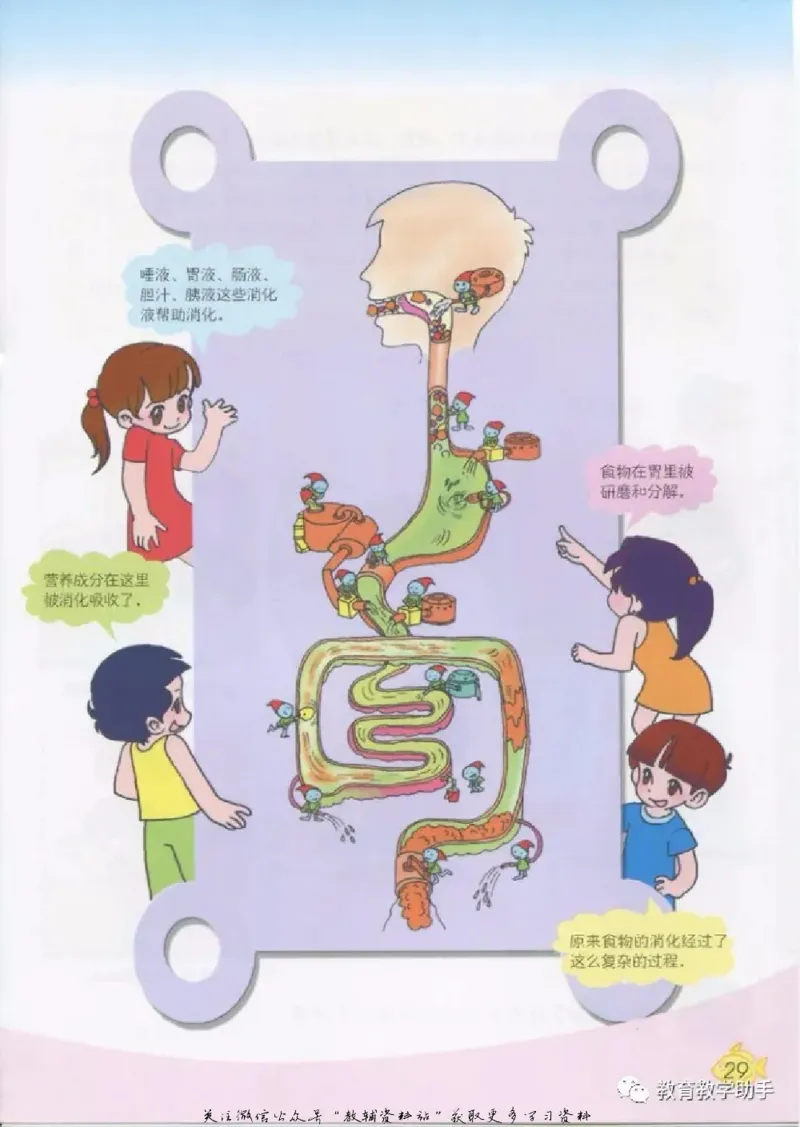 五年级上册科学青岛版五四制电子课本_全部版本&bull;小学科学电子课本_青岛版54制小学科学课本