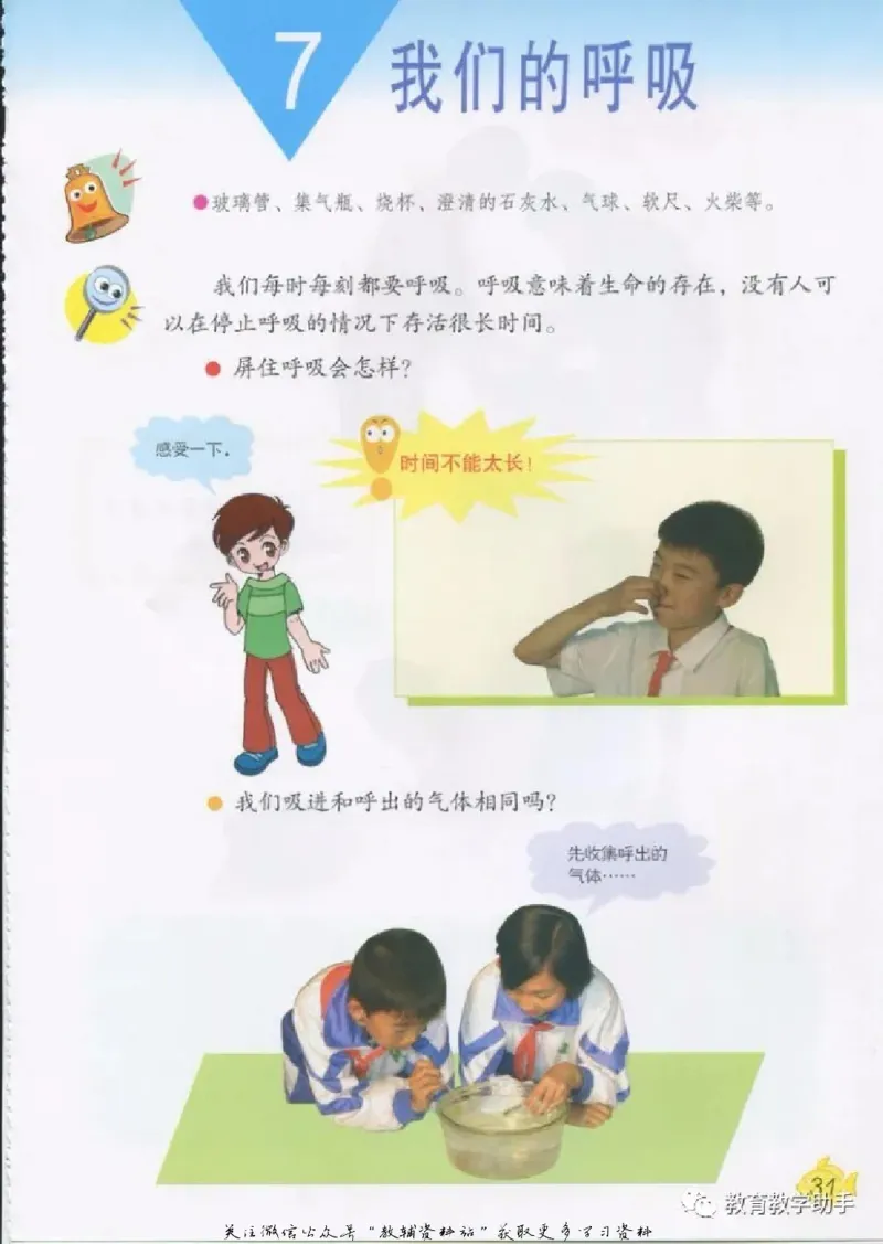 五年级上册科学青岛版五四制电子课本_全部版本&bull;小学科学电子课本_青岛版54制小学科学课本