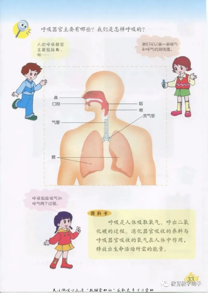 五年级上册科学青岛版五四制电子课本_全部版本&bull;小学科学电子课本_青岛版54制小学科学课本