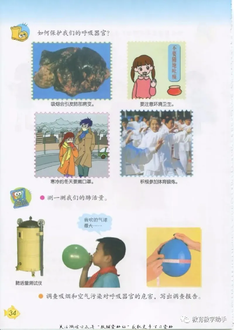 五年级上册科学青岛版五四制电子课本_全部版本&bull;小学科学电子课本_青岛版54制小学科学课本