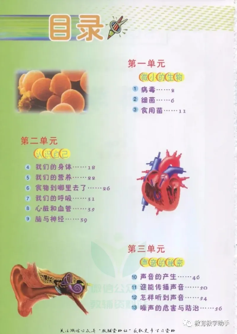 五年级上册科学青岛版五四制电子课本_全部版本&bull;小学科学电子课本_青岛版54制小学科学课本