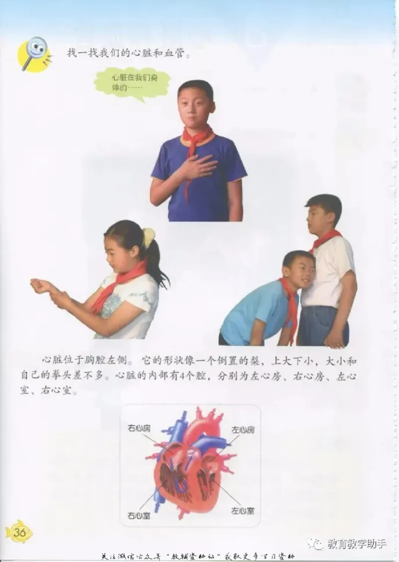 五年级上册科学青岛版五四制电子课本_全部版本&bull;小学科学电子课本_青岛版54制小学科学课本