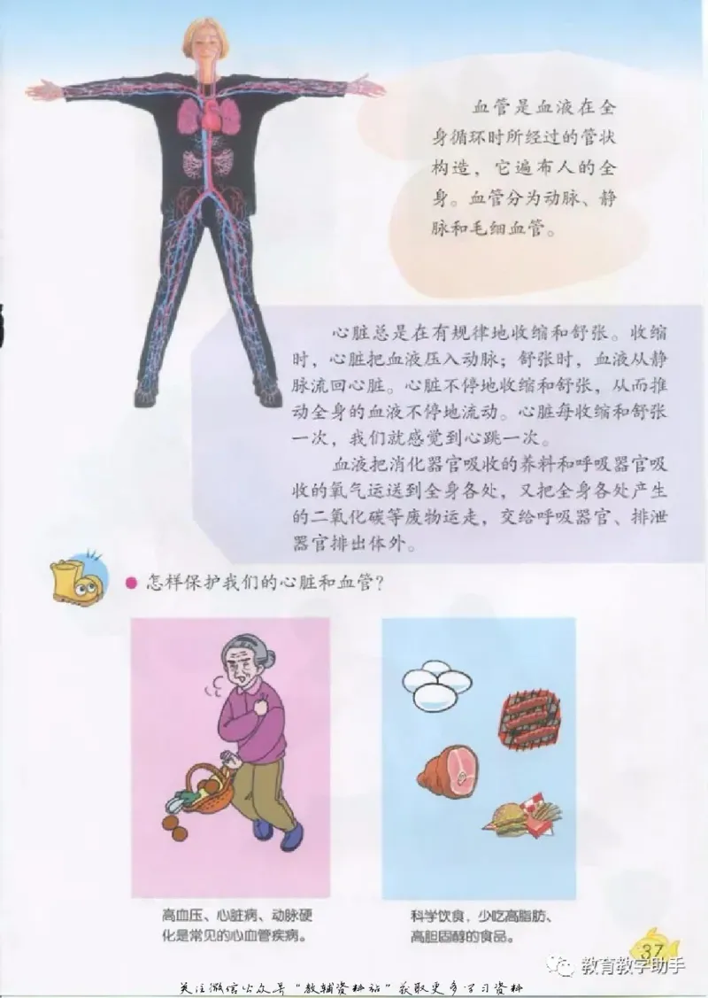 五年级上册科学青岛版五四制电子课本_全部版本&bull;小学科学电子课本_青岛版54制小学科学课本