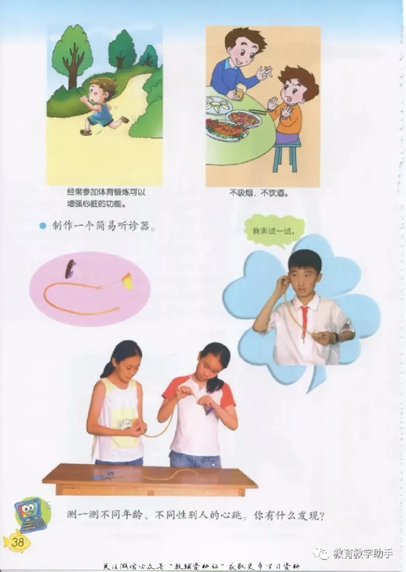 五年级上册科学青岛版五四制电子课本_全部版本&bull;小学科学电子课本_青岛版54制小学科学课本