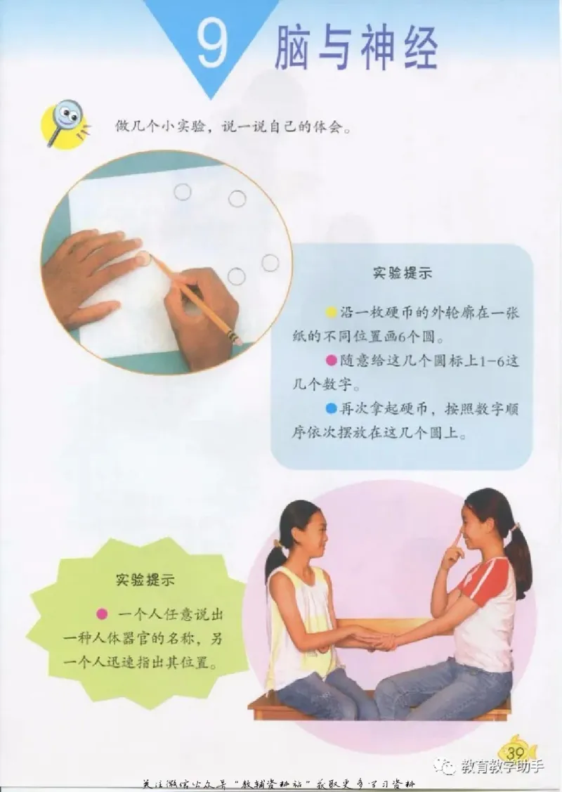 五年级上册科学青岛版五四制电子课本_全部版本&bull;小学科学电子课本_青岛版54制小学科学课本