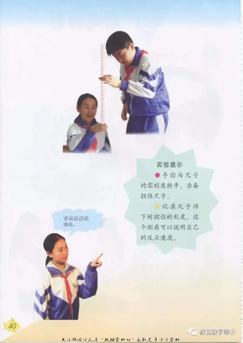 五年级上册科学青岛版五四制电子课本_全部版本&bull;小学科学电子课本_青岛版54制小学科学课本