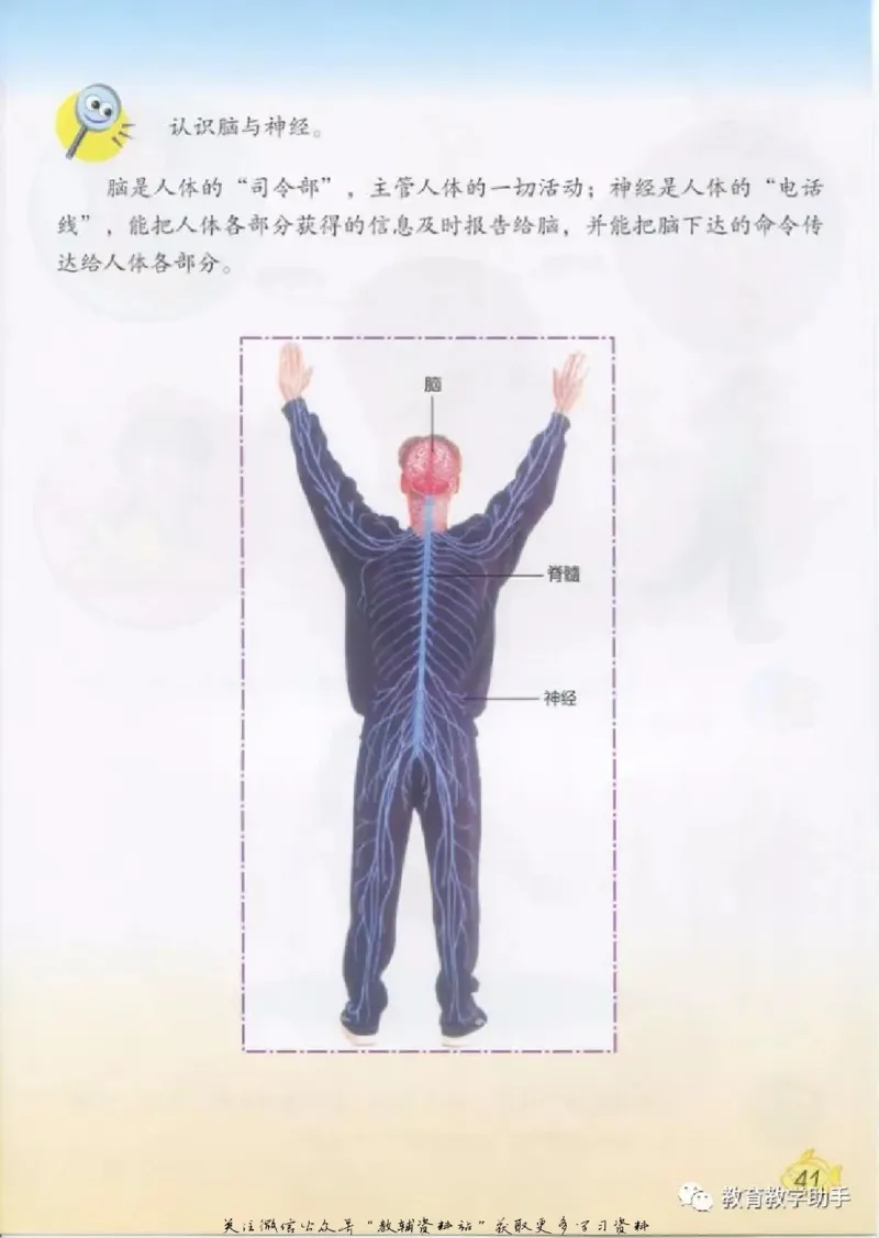五年级上册科学青岛版五四制电子课本_全部版本&bull;小学科学电子课本_青岛版54制小学科学课本