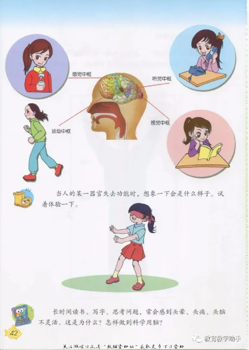 五年级上册科学青岛版五四制电子课本_全部版本&bull;小学科学电子课本_青岛版54制小学科学课本