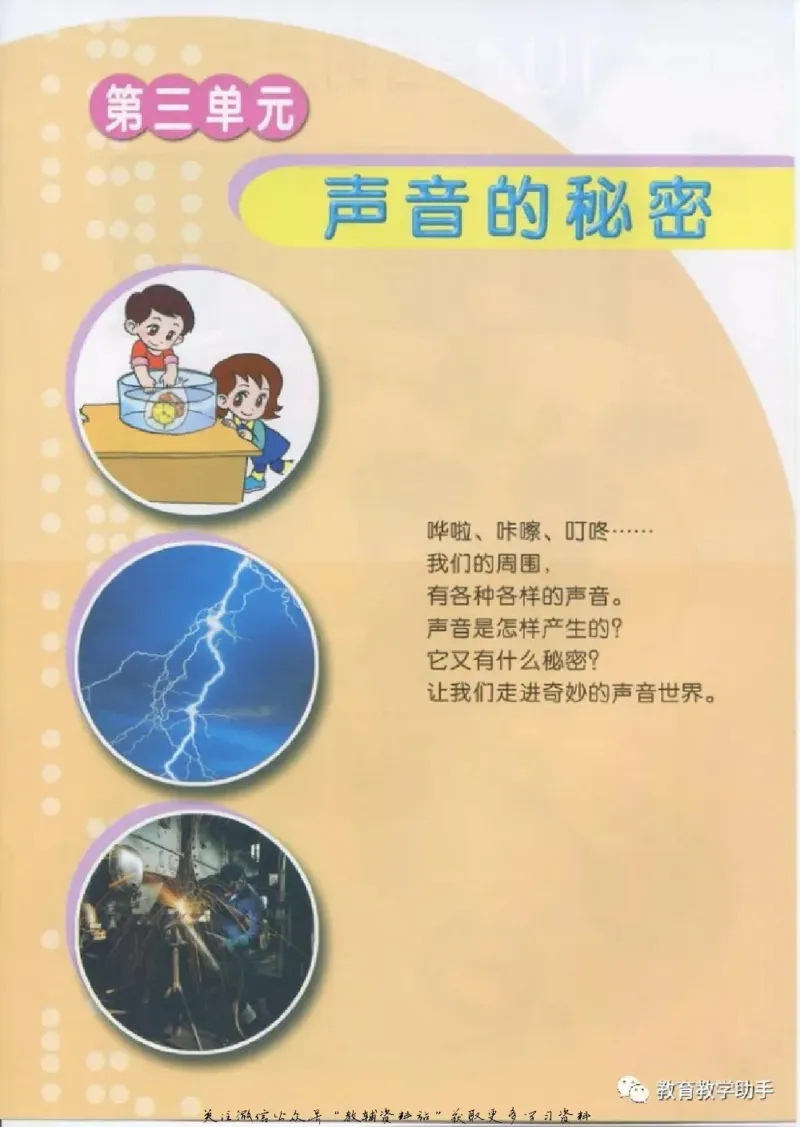 五年级上册科学青岛版五四制电子课本_全部版本&bull;小学科学电子课本_青岛版54制小学科学课本