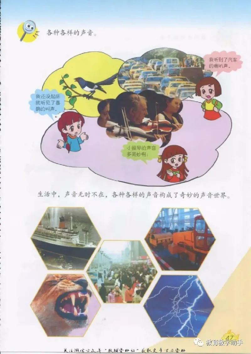 五年级上册科学青岛版五四制电子课本_全部版本&bull;小学科学电子课本_青岛版54制小学科学课本