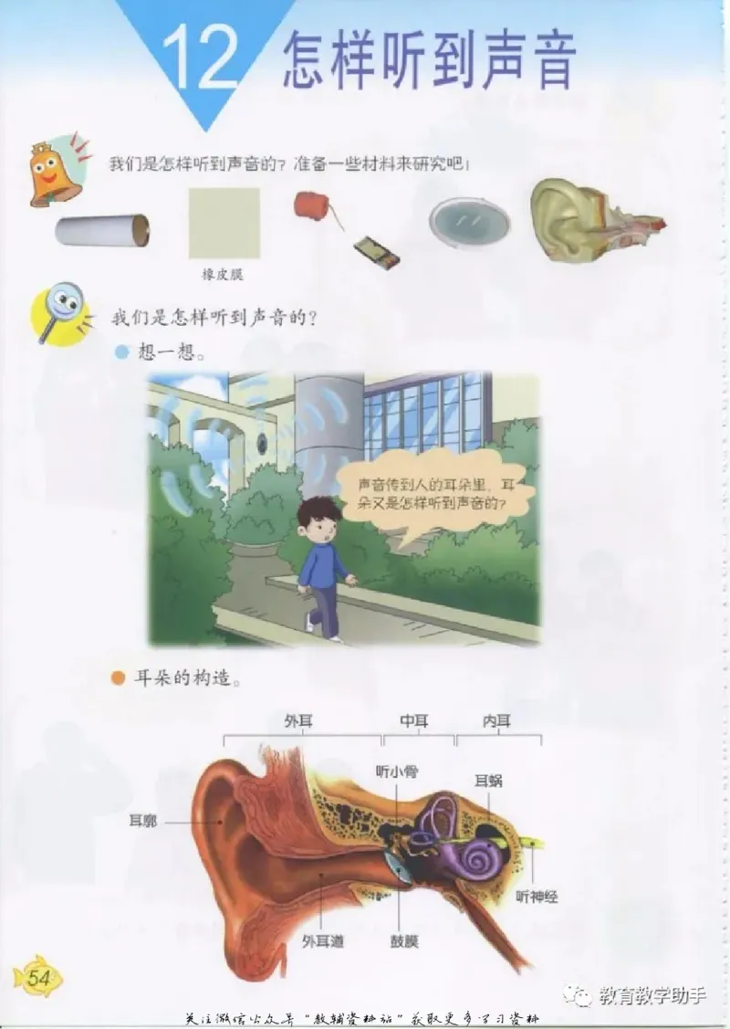 五年级上册科学青岛版五四制电子课本_全部版本&bull;小学科学电子课本_青岛版54制小学科学课本