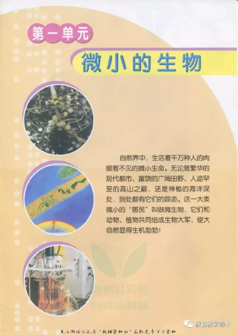 五年级上册科学青岛版五四制电子课本_全部版本&bull;小学科学电子课本_青岛版54制小学科学课本